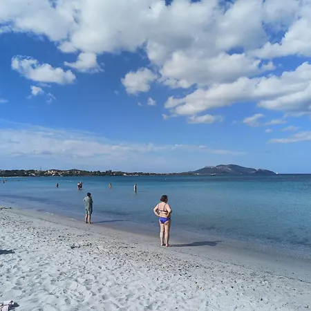 Gæstehus Domo Le Mura Puniche, Nel Cuore Di Olbia