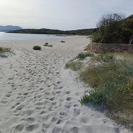 Gæstehus Domo Le Mura Puniche, Nel Cuore Di Olbia