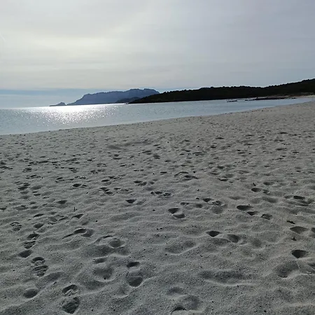 Gæstehus Domo Le Mura Puniche, Nel Cuore Di Olbia